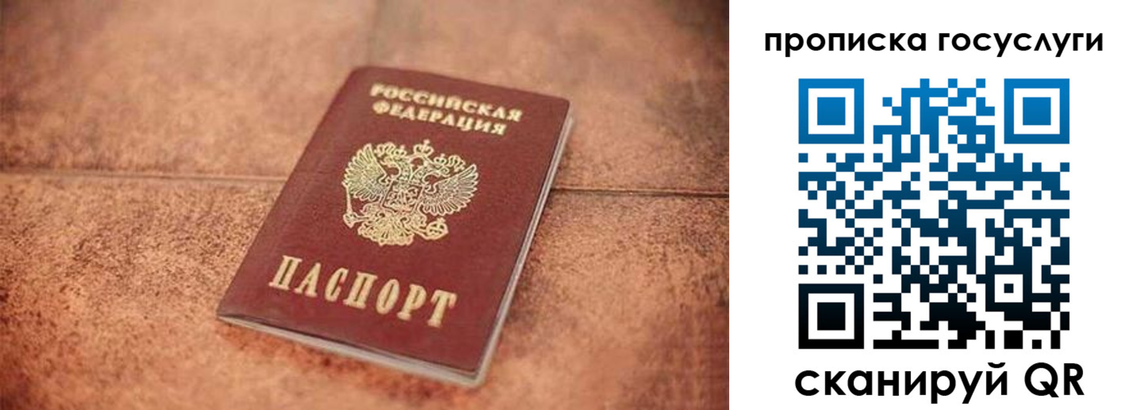 прописка законно в Елизово