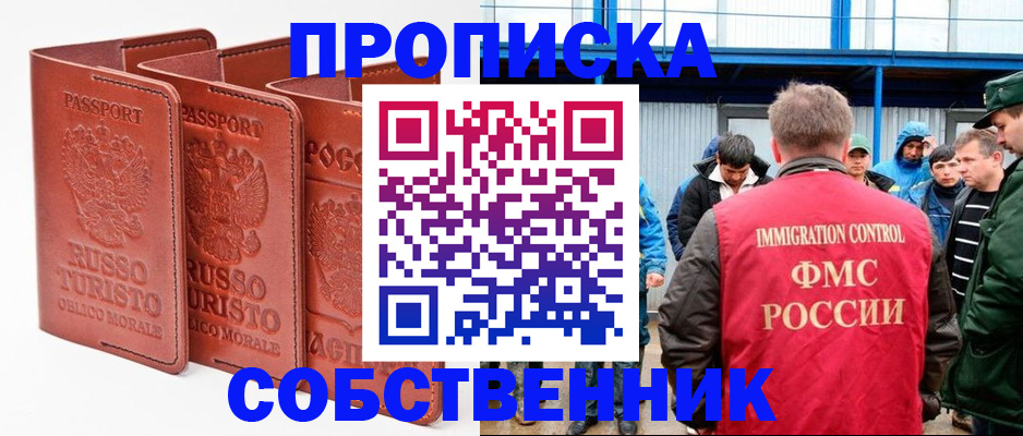 прописка поиск в Елизово
